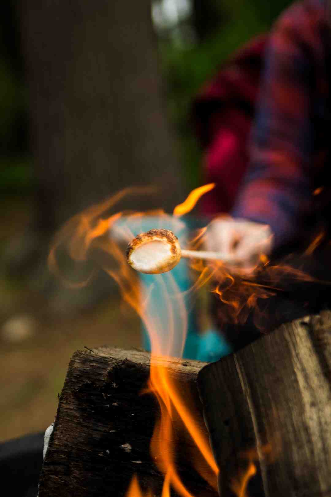 Les 5 Conseils pratiques pour reserver camping avec vacaf
