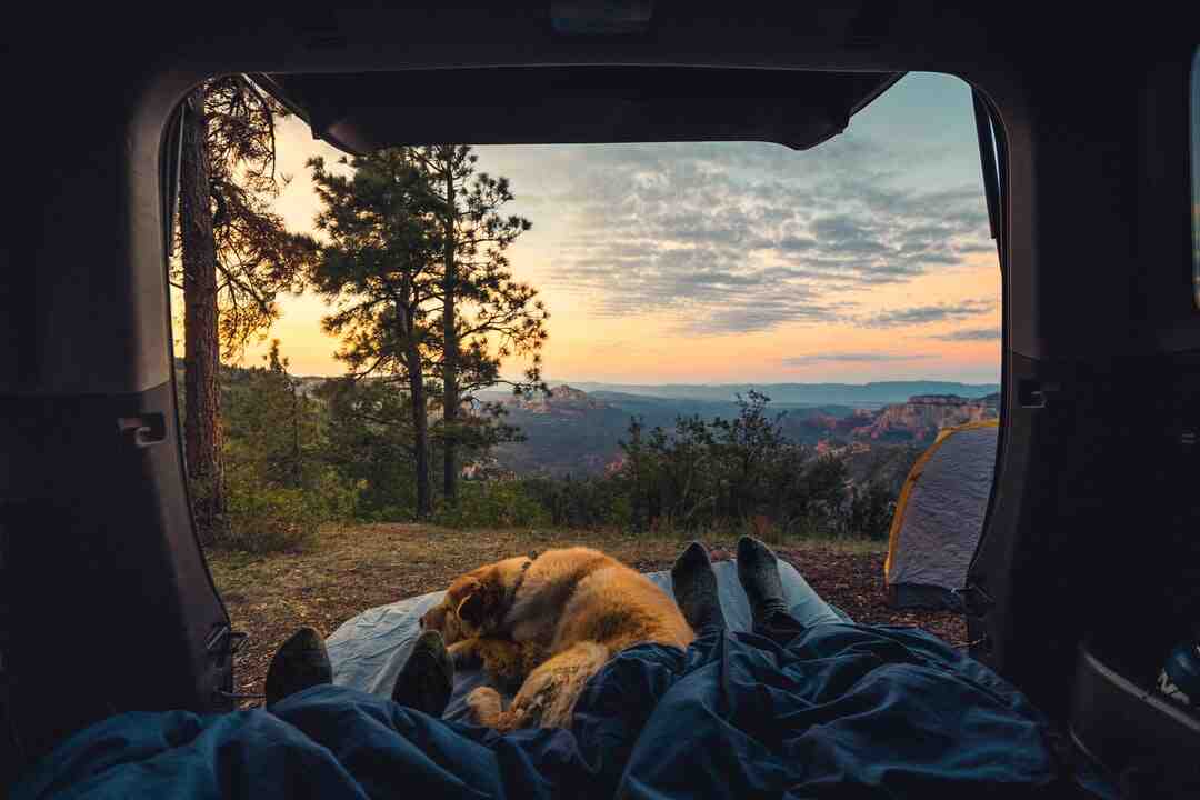 Quelle est la marque la plus fiable en camping-car ?