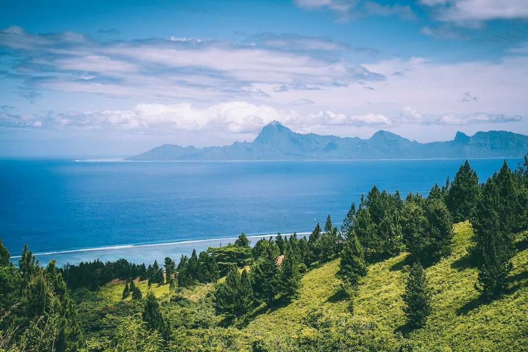 Découvrez la beauté de la Polynésie, la première destination paradisiaque!