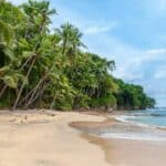 Vivez l'expérience Tahiti : Des vacances de rêve dans un cadre paradisiaque!