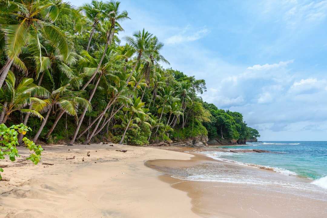 Vad är det genomsnittliga priset för en resa till Tahiti?